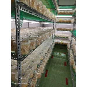 HTX Nông Nghiệp Ứng Dụng Công Nghệ Cao Giọt Phù Sa