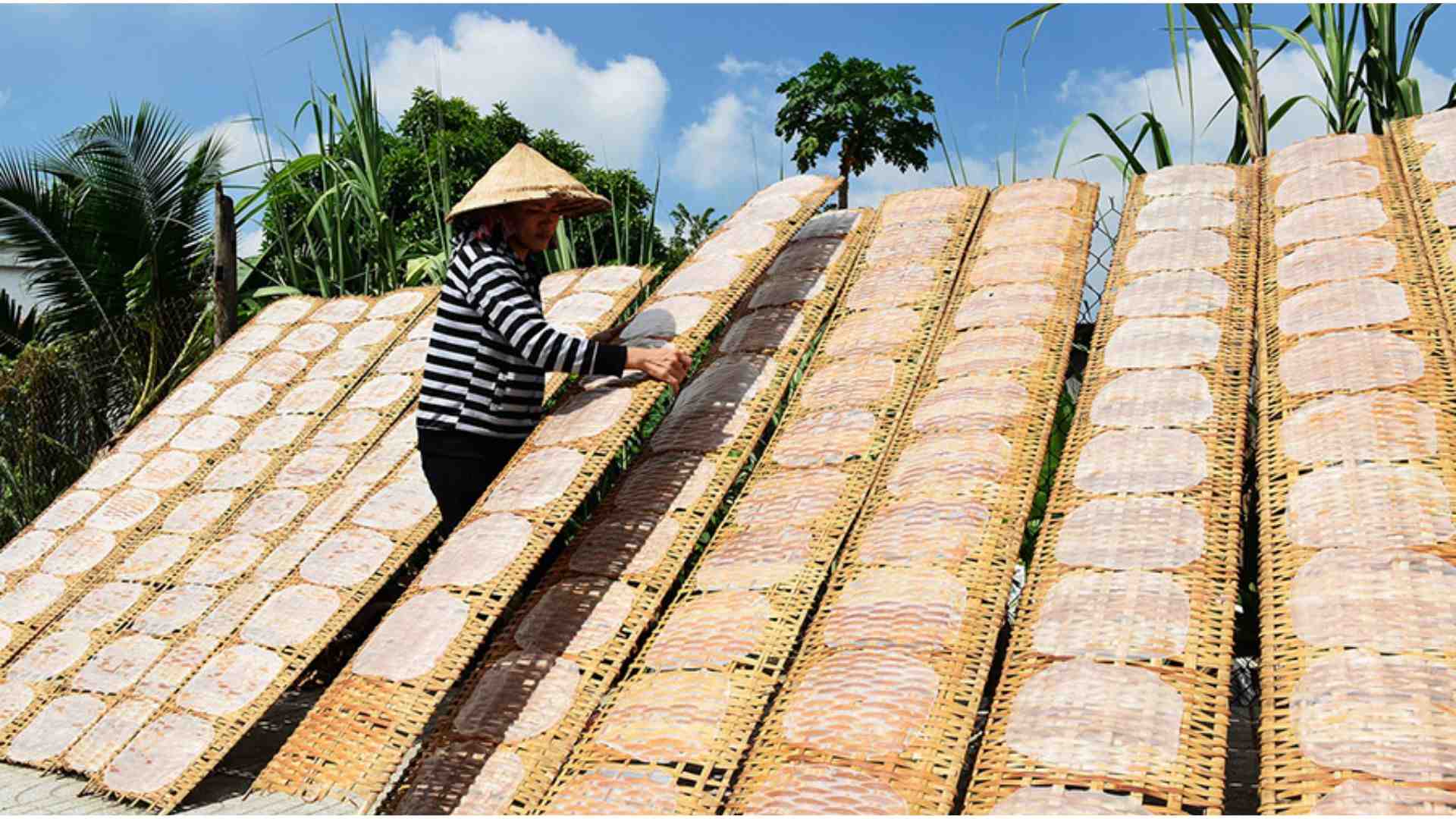 2. Nghề làm bánh tráng Trảng Bàng (Tây Ninh)