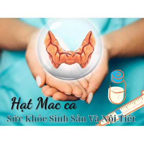 Hỗ trợ sức khỏe sinh sản & nội tiết