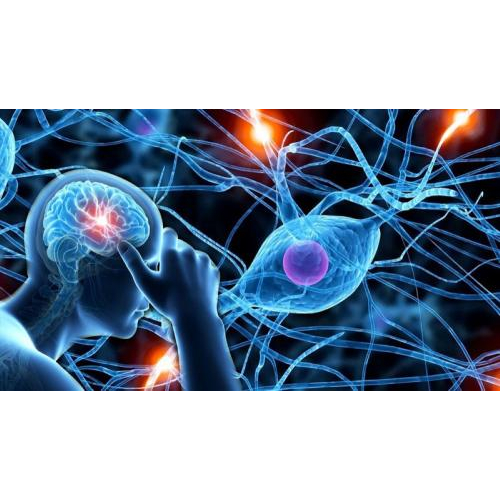 Tác Hại Với Hệ Thần Kinh