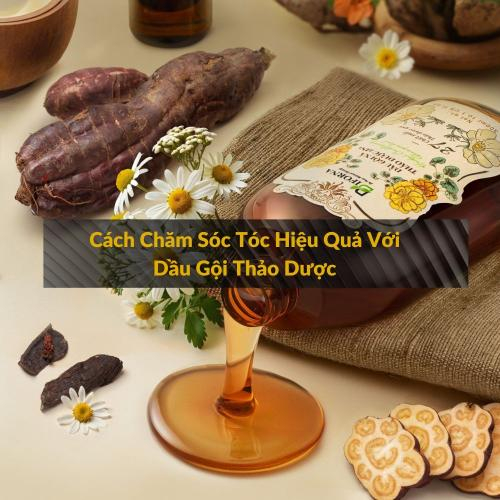 Cách Chăm Sóc Tóc Hiệu Quả Với Dầu Gội Thảo Dược