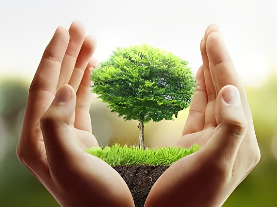 2. Thành Phần Của Muối Thảo Mộc Aceso
