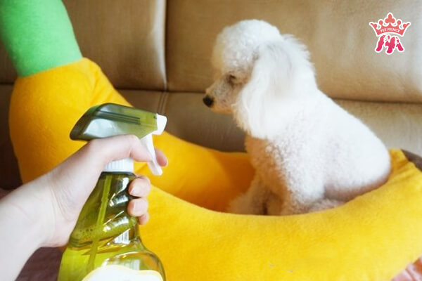 3. Cách Sử Dụng PET KLEEN Để Khử Mùi Chuồng Trại Thú Cưng