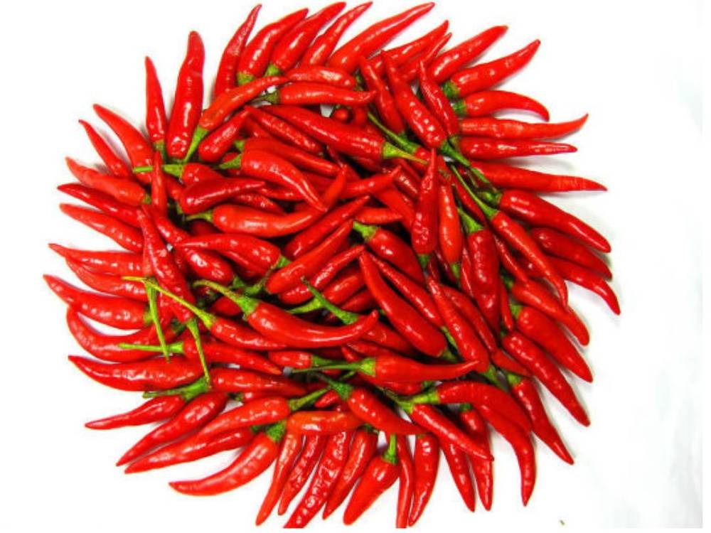 Khuyến Cáo