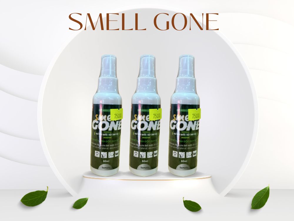 2. Sử dụng thường xuyên để ngăn ngừa mùi quay trở lại