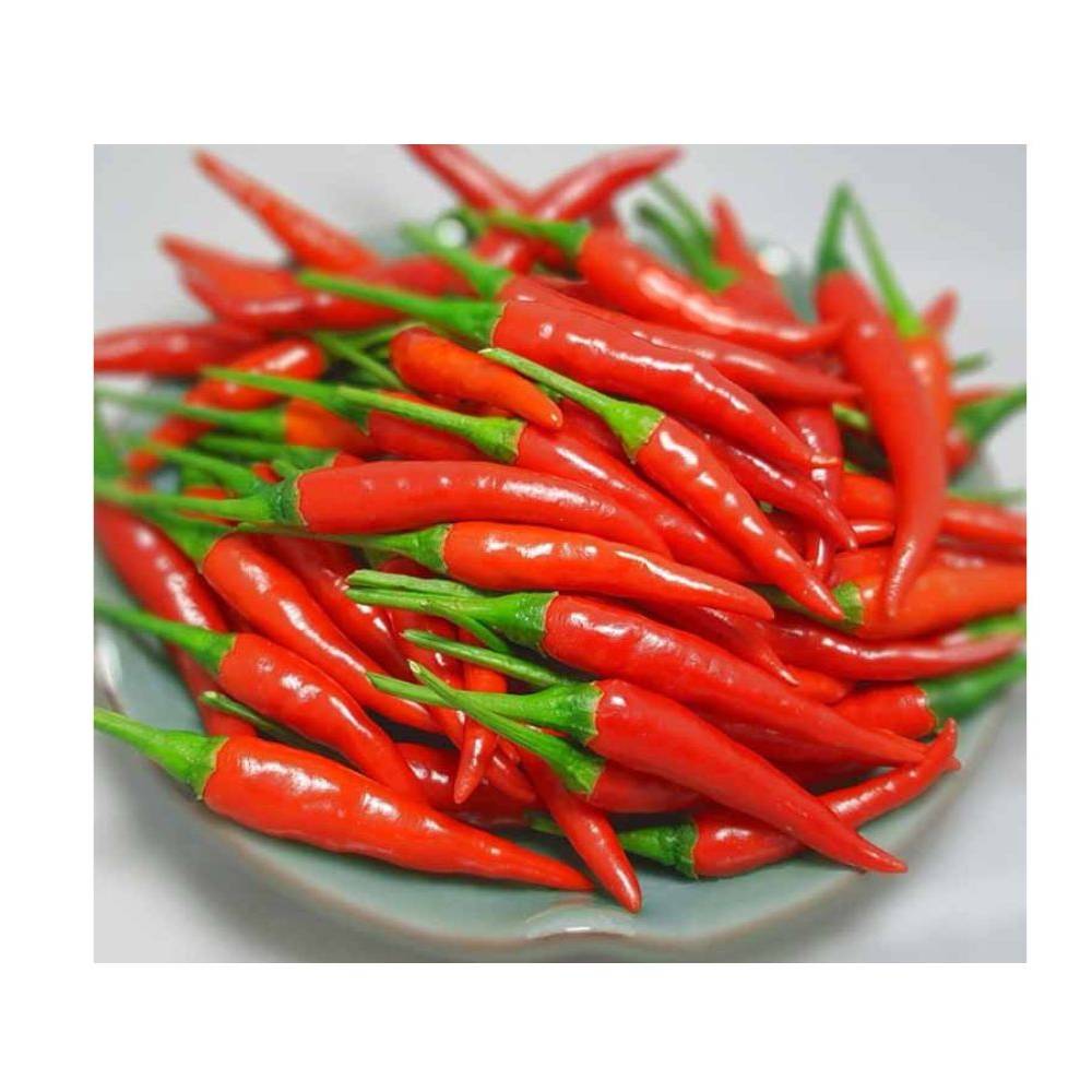 Lợi Ích Của Tương Ớt - Sức Khỏe Và Dinh Dưỡng Từ Thiên Nhiên