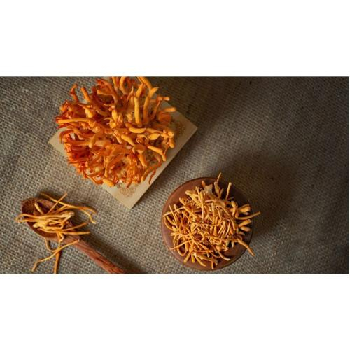 Nguồn Gốc Của Đông Trùng Hạ Thảo