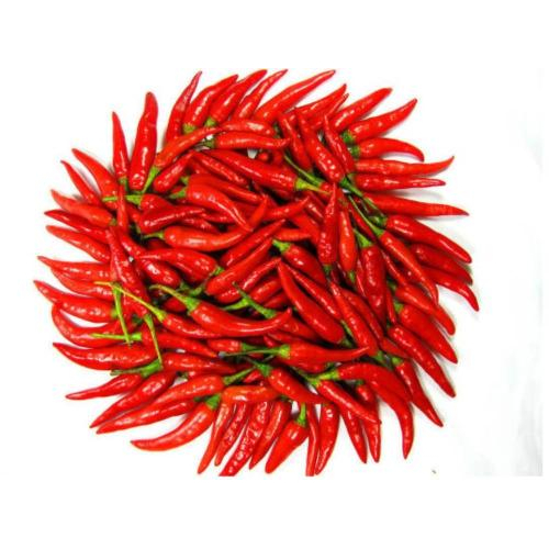 Khuyến Cáo
