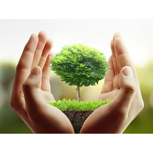 4. Cách Lựa Chọn Sản Phẩm Vệ Sinh An Toàn Và Thân Thiện Với Môi Trường