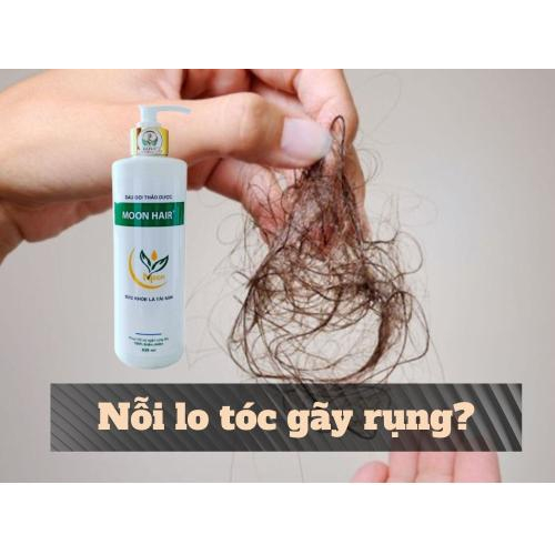 1. Nỗi Lo Tóc Gãy Rụng