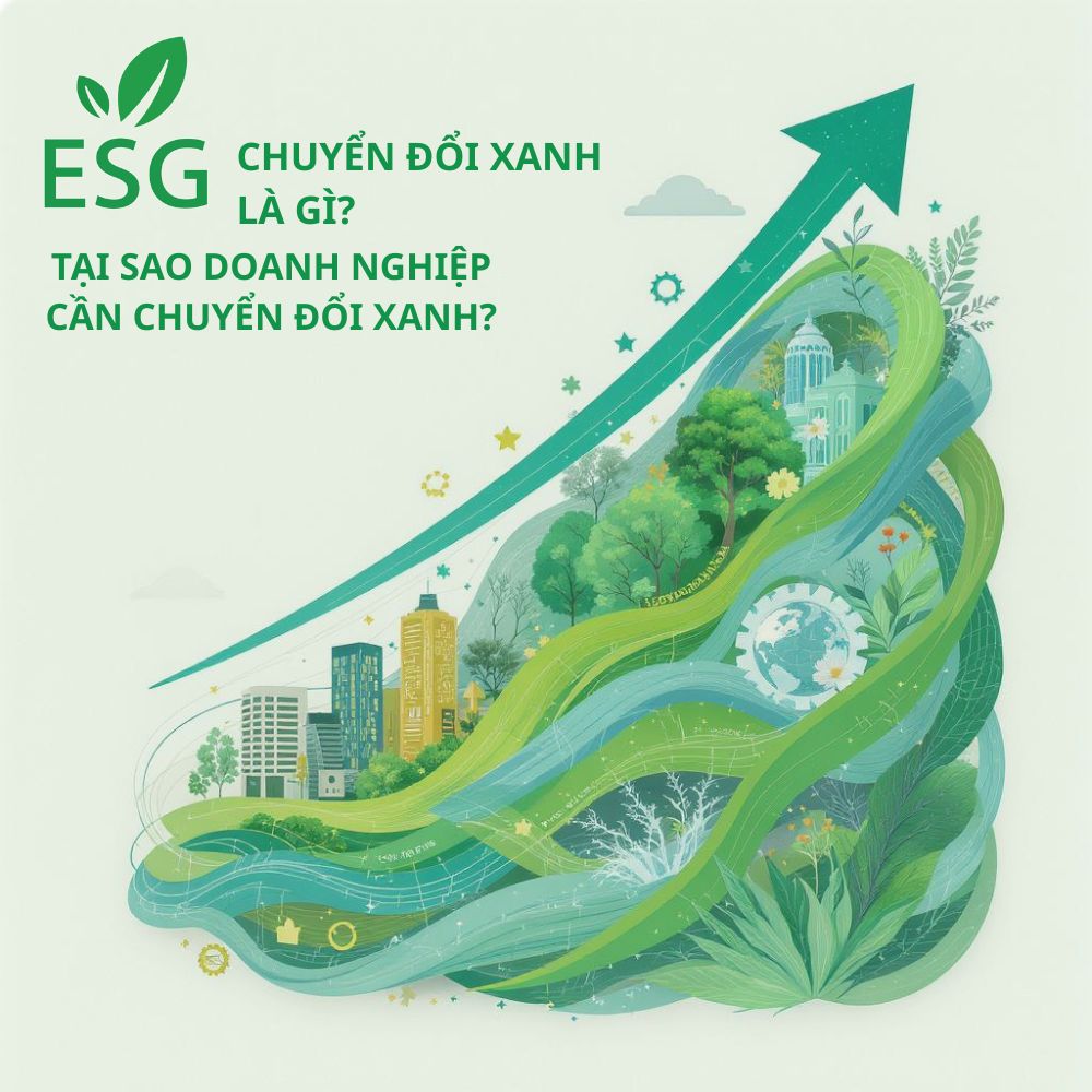 Chuyển Đổi Xanh Là Gì? Tại Sao Doanh Nghiệp Cần Chuyển Đổi Xanh?