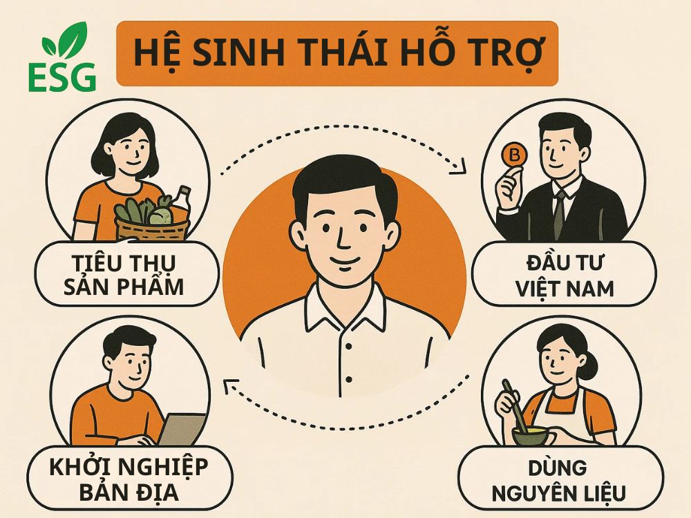 4. Hệ sinh thái hỗ trợ
