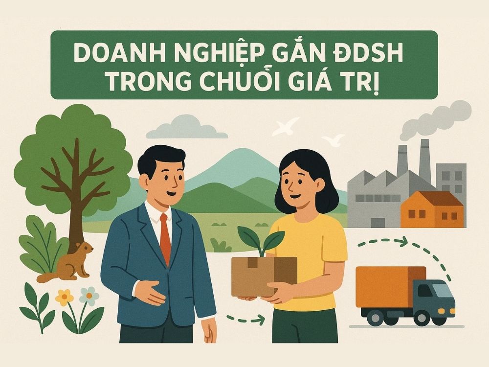 3. Doanh nghiệp gắn ĐDSH trong chuỗi giá trị