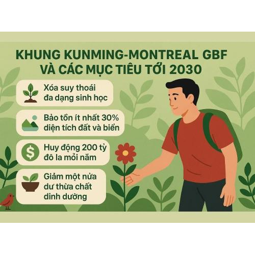1. Khung Kunming–Montreal GBF và các mục tiêu tới 2030