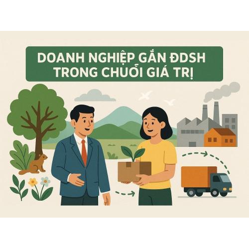 3. Doanh nghiệp gắn ĐDSH trong chuỗi giá trị