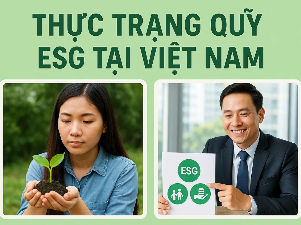 4. Vai trò nhà đầu tư cá nhân và tổ chức