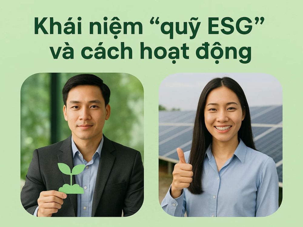 1. Sự chuyển dịch lớn sang đầu tư bền vững