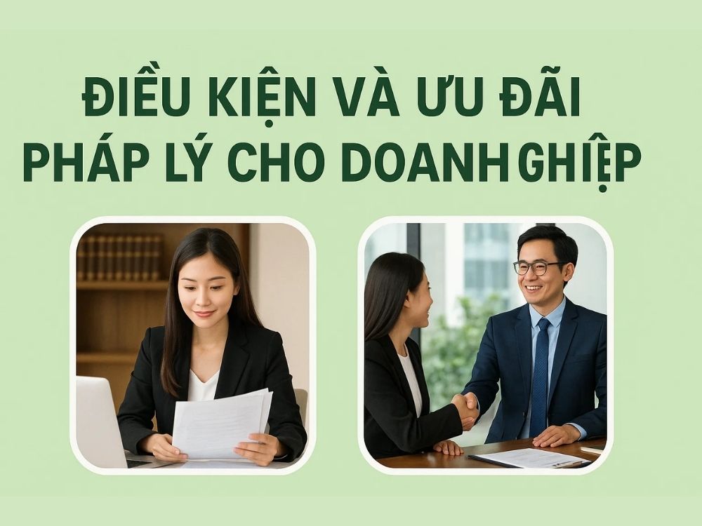 3) Điều kiện và ưu đãi pháp lý cho doanh nghiệp