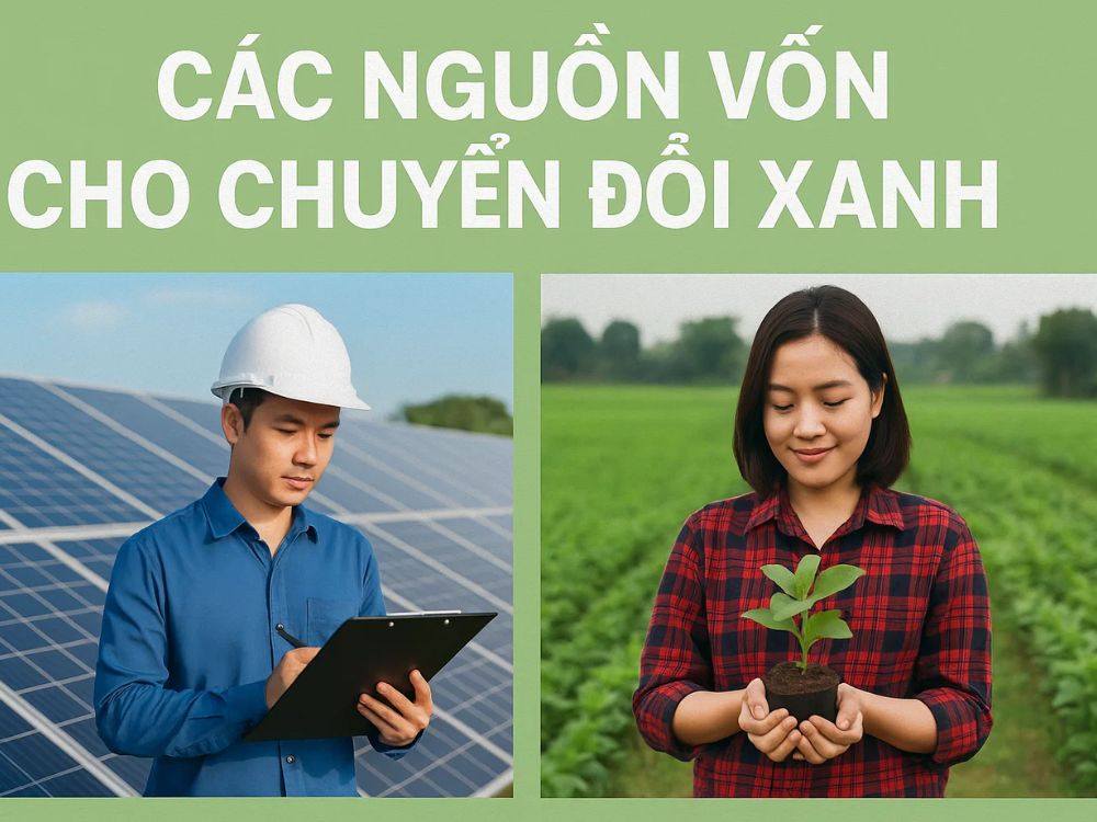 2) Các nguồn vốn cho chuyển đổi xanh