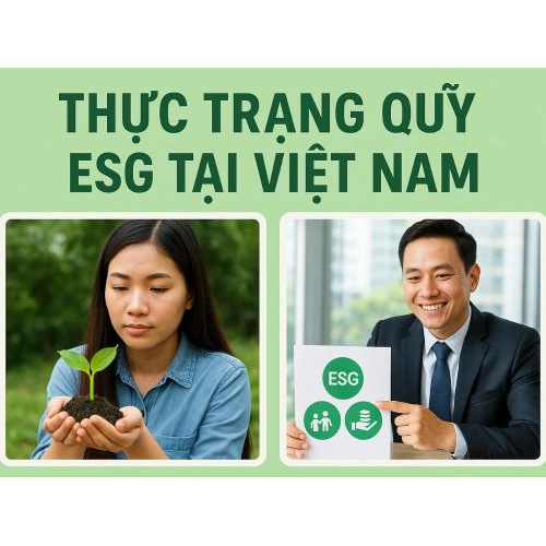 4. Vai trò nhà đầu tư cá nhân và tổ chức