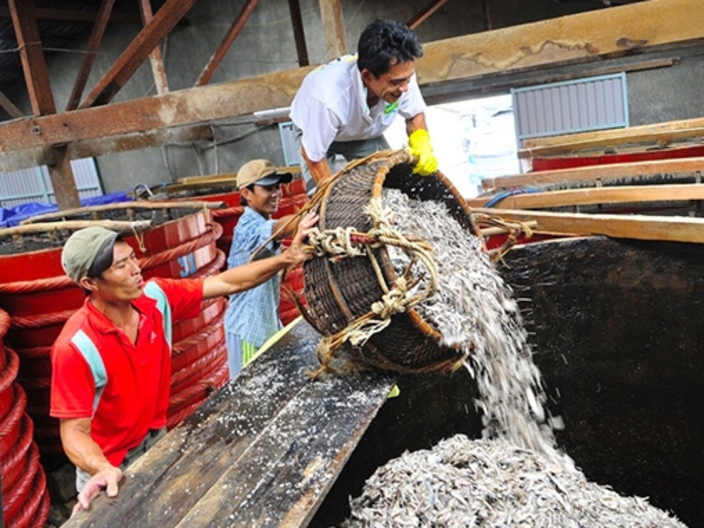 3. Trộn cá và muối